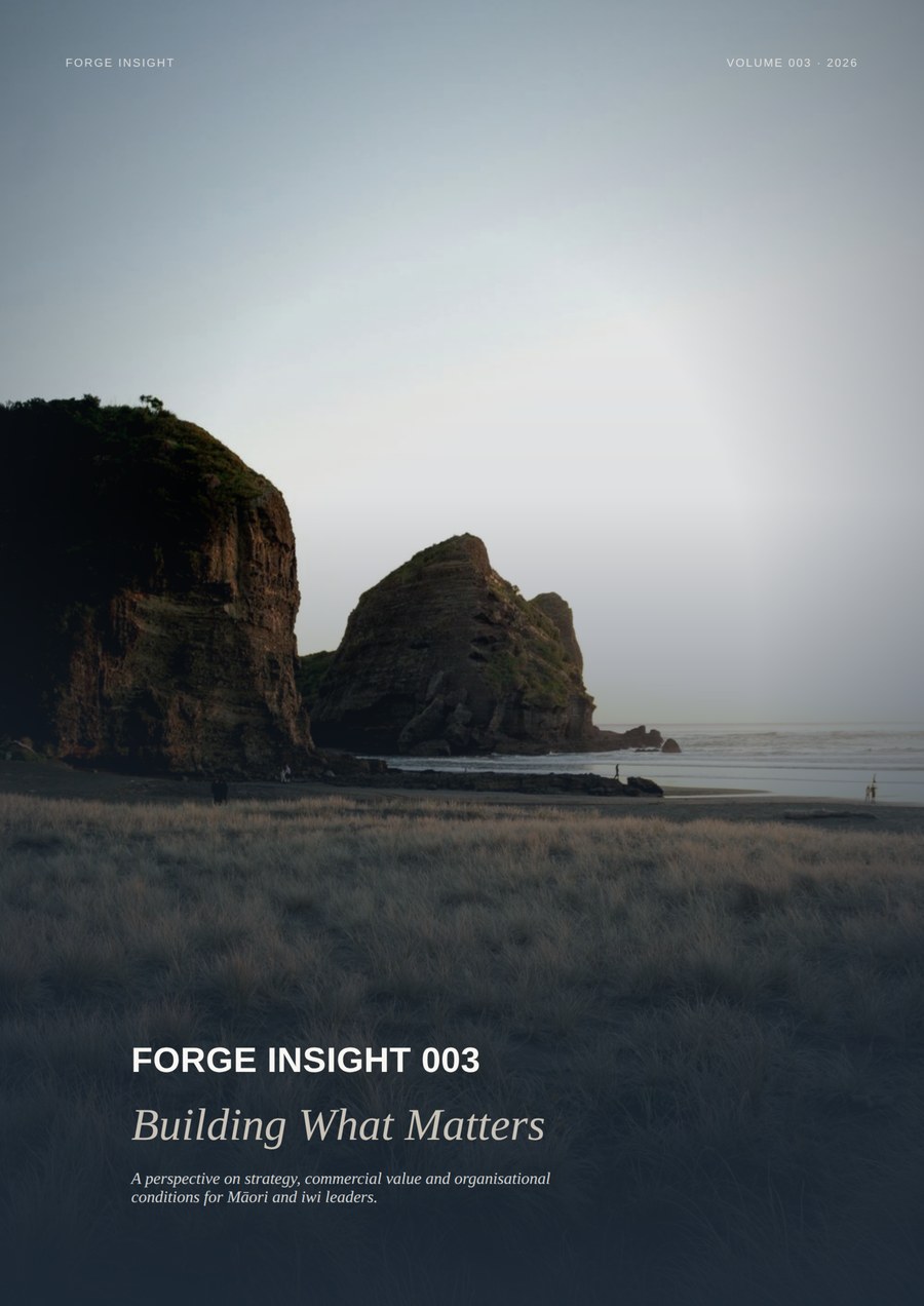 Forge Insight 003, Building What Matters, cover