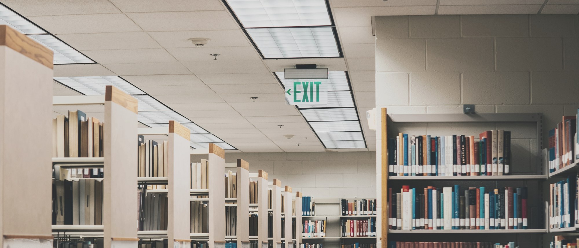 Rows of bookshelves in a quiet library